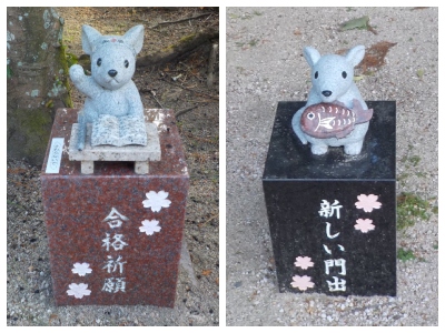 japan 島根県出雲市斐川町併川258 万九千神社の梅酒があるくらいだから、梅林があるだろうと思い見に行きました。