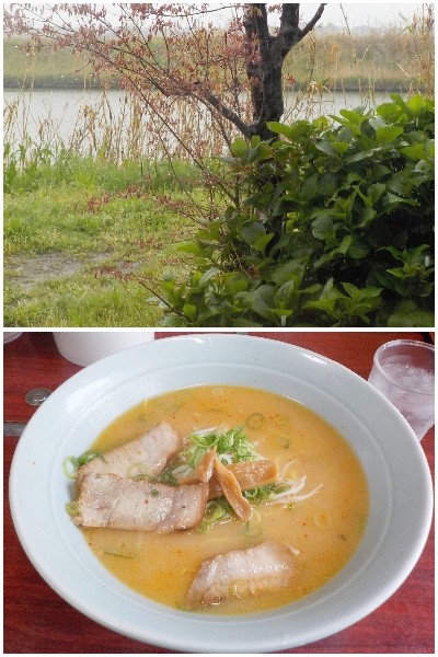 japan 島根県出雲市斐川町学頭1812-42 ローダン斐川店の味噌ラーメンは美味しかったです。また行きます。