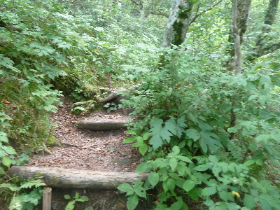 三瓶山登山道