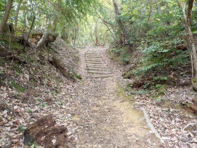 新型コロナでも旅伏山