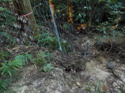 高尾山の入口付近