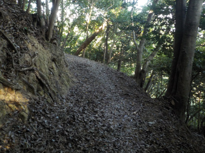 高尾山の山道