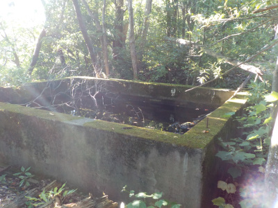 高尾山の貯水槽かな