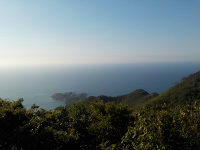 高尾山の山頂からの眺め