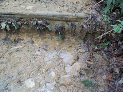 2024年最初の山歩きは途中で引き返しました。